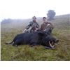 Image 1 : New Zealand  Wild Mountain Boar Hunt  Cardrona Outfitters