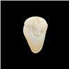 Image 2 : WHITE RED MUTTON JADE PARROT CARVING FETISH