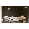 Image 2 : Stan Freberg Signed Photo To Red Robinson
