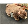 Image 2 : Vintage Clever Bear Wind Up Toy, In Original Box
