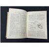 Image 2 : Vintage Book , Sunday Reading For The Young