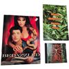 Image 1 : Bedazzled Media Promotional Kit & George If The Jungle Media Promotional Kit With Cd