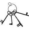 Image 1 : Vintage Skeleton Keys On Ring
