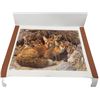 Image 1 : Vintage Carl Brender's Print "Fox Family" #8738 Of 20106, In Original Portfolio