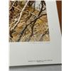 Image 2 : Vintage Carl Brender's Print "Fox Family" #8738 Of 20106, In Original Portfolio