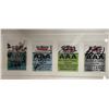Image 2 : Framed Red Robinson All Access Passes Signed By Artists