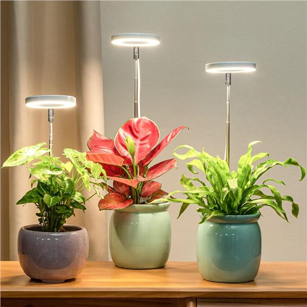 3 Lordem Full-Spectrum Halo Grow Lights for Indoor Potted Plants - Adjustable Height 