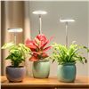 Image 1 : 3 Lordem Full-Spectrum Halo Grow Lights for Indoor Potted Plants - Adjustable Height 