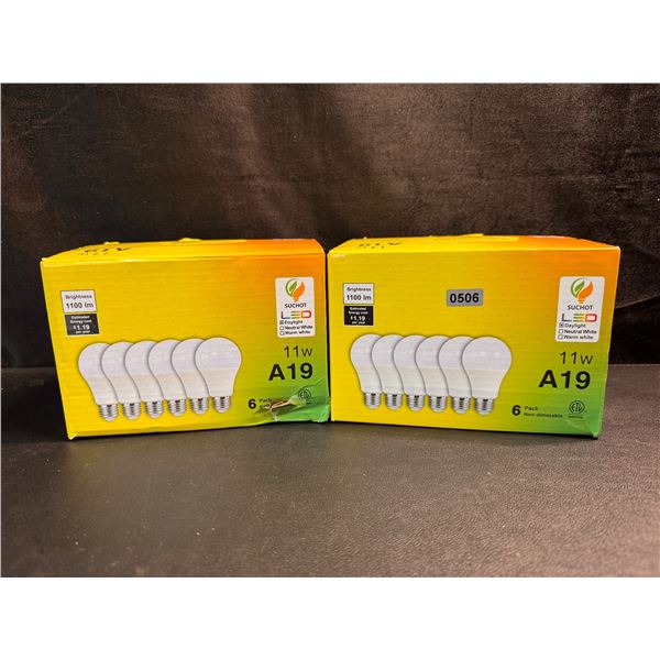 2 6 Packs of 11W A19 LED Daylight Bulbs - New