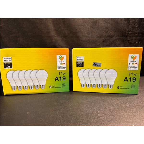 2 6 Packs of 11W A19 LED Bulbs Daylight - New