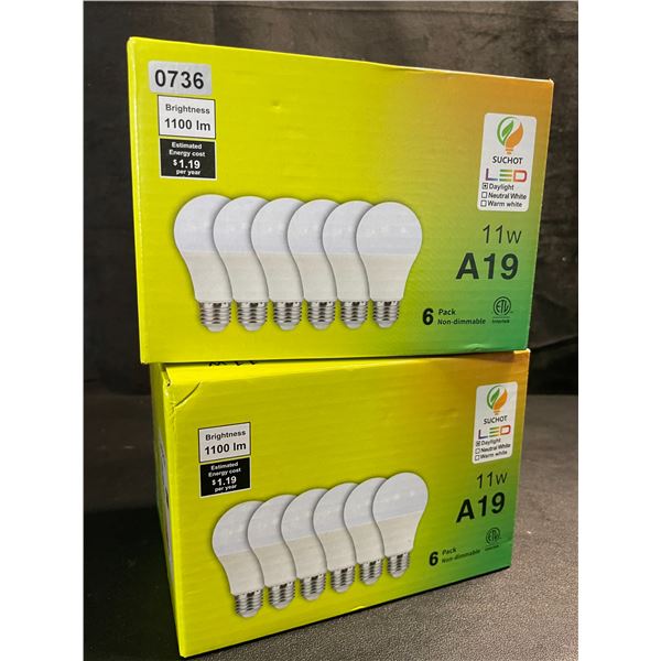 2 Boxes of LED Lightbulbs - 6 Per Box/12 Bulbs Total - 11W A19 Standard E26 Base - Brand New