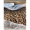 Image 1 : 1 Box of Organic Expanded Clay Pebbles for Soil/Hydroponic Rocks for Plants/Gardens - 12LBS In Box