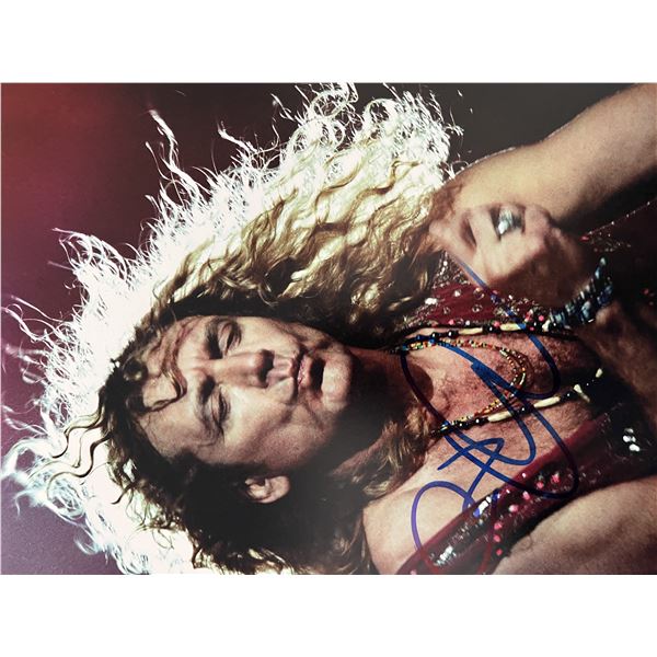 Led Zeppelin Robert Plant signed photo