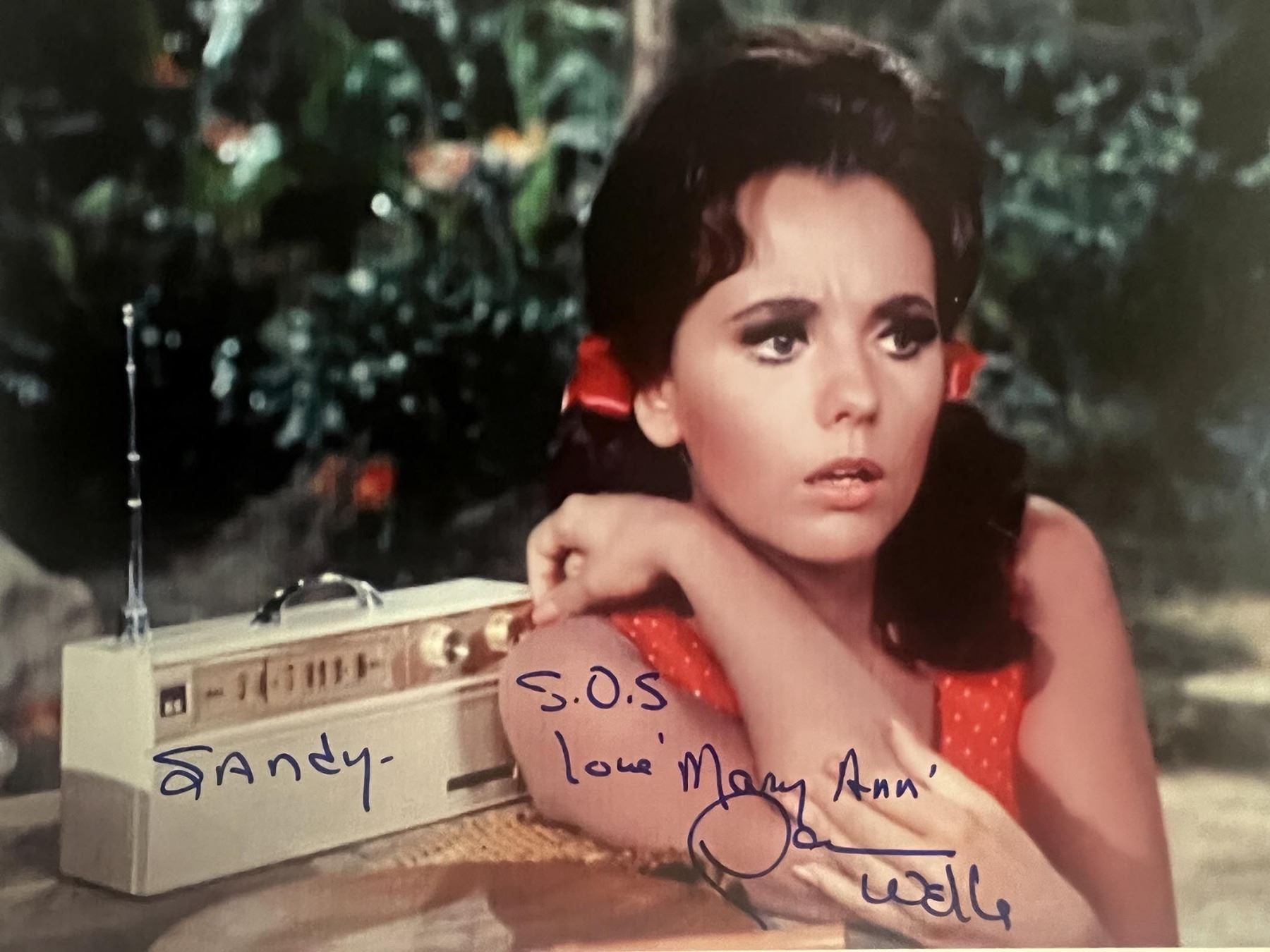 Gilligan s Island Dawn Wells Signed Photo gilligan-s-island-dawn-wells-signed-photo