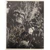 Image 1 : Swamp Thing Dick Durock signed movie photo