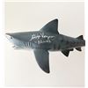 Image 1 : Jaws 2 Gigi Vorgan signed shark. JSA