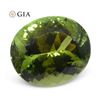 Image 3 : Large 9.30 Ct GIA Certified Natural Tourmaline