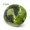 Image 4 : Large 9.30 Ct GIA Certified Natural Tourmaline