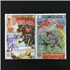 Image 1 : LOT OF 2 PETER PARKER THE SPECTACULAR SPIDERMAN #43 AND #72 (MARVEL COMICS)