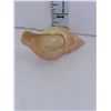 Image 1 : Antique Royal Worcester Conch Shell Figurine