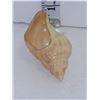 Image 4 : Antique Royal Worcester Conch Shell Figurine