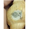 Image 5 : Antique Royal Worcester Conch Shell Figurine