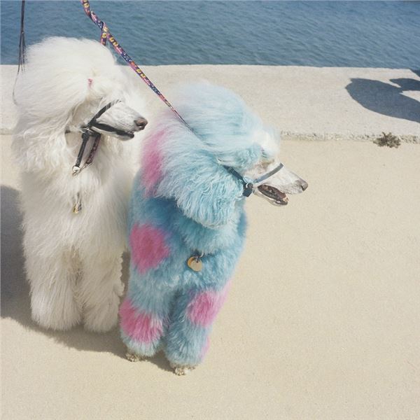 NEW EXEK ADVERTISE HERE CD