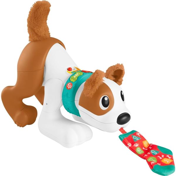 NEW FISHER PRICE CRAWL WITH ME PUPPY 6-36 MONTHS