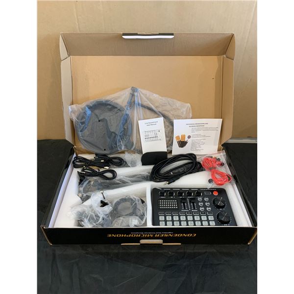 Professional Condenser Microphone