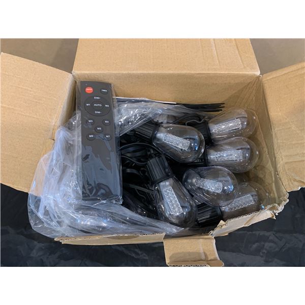 Outdoor LED String Lights With RF Remote - 40 Bulbs - 98.42 FT