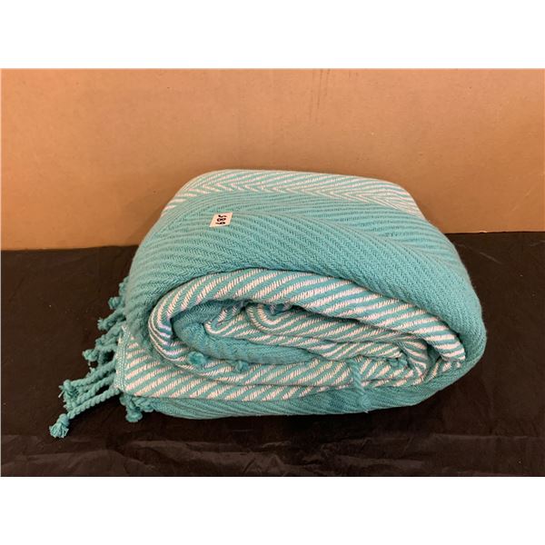 Teal And White Throw Blanket