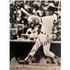 Image 1 : NY Yankees Graig Nettles signed photo
