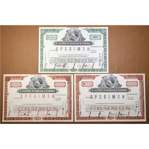 Delaware. E.I. du Pont de Nemours & Co., 1976 to 1981, Trio of Specimen Stock Certificates