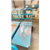 Image 2 : BLUE METAL CART DECK; 4' X 2'
