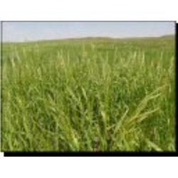 Parcel #1 - 314.8 Acres