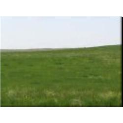 Parcel #2 - 790.1 acres CRP