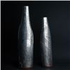 Image 1 : 2pc Modern Metal Vases