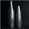 Image 3 : 2pc Modern Metal Vases