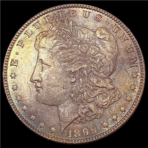 1899 Morgan Silver Dollar UNCIRCULATED