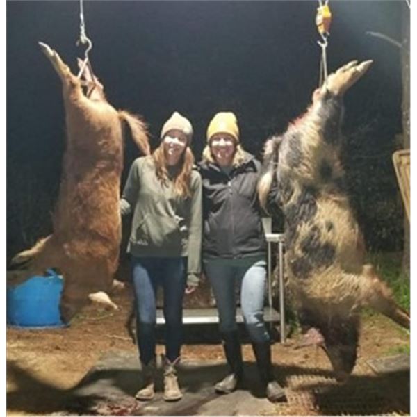 THERMAL HOG HUNT FOR 2 HUNTERS