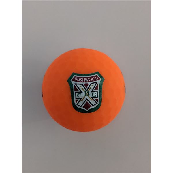 Caddy Shack Bushwood golf ball