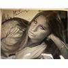 Image 1 : Barbra Streisand signed photo