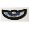 Image 1 : 299E BRITISH SAS SPECIAL AIR SERVICE WINGS LATE