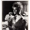 Image 1 : Kim Novak signed photo
