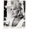 Image 1 : Sandra Dee signed photo
