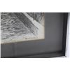 Image 3 : Framed Bird Art Print by Robert Bateman 17'' x 16''