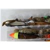 Image 3 : Bass Pro Shops Fishing Tackle Tray w/ Various Fishing Tackle