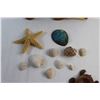 Image 3 : Sea Shells, Wooden Dolphin Decor, Turtle Trinket Holder and Dried Starfish