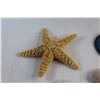 Image 5 : Sea Shells, Wooden Dolphin Decor, Turtle Trinket Holder and Dried Starfish