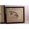 Image 2 : (2) Framed Migrating Geese Art Prints 18 1/2'' x 15 1/2''